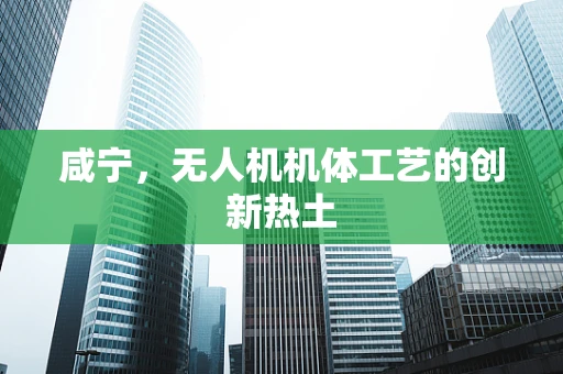 咸宁，无人机机体工艺的创新热土