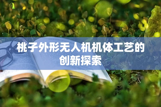 桃子外形无人机机体工艺的创新探索
