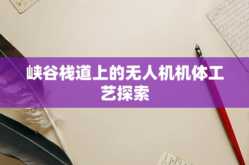 峡谷栈道上的无人机机体工艺探索
