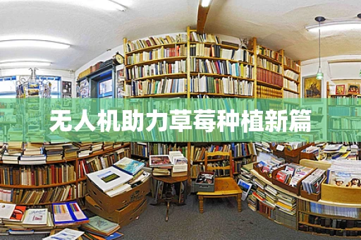 无人机助力草莓种植新篇