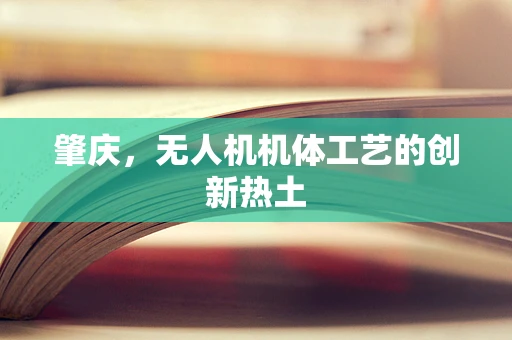 肇庆，无人机机体工艺的创新热土