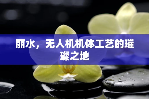 丽水，无人机机体工艺的璀璨之地
