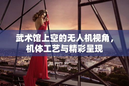 武术馆上空的无人机视角，机体工艺与精彩呈现