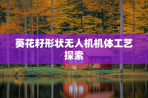 葵花籽形状无人机机体工艺探索