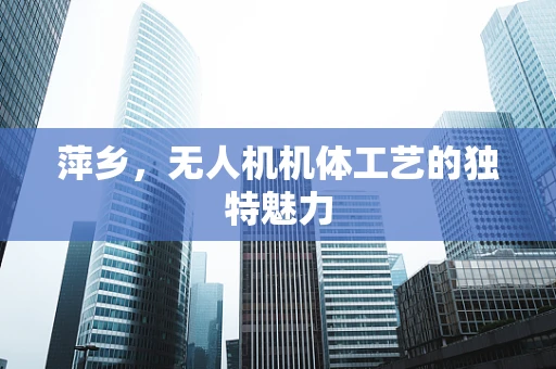 萍乡，无人机机体工艺的独特魅力