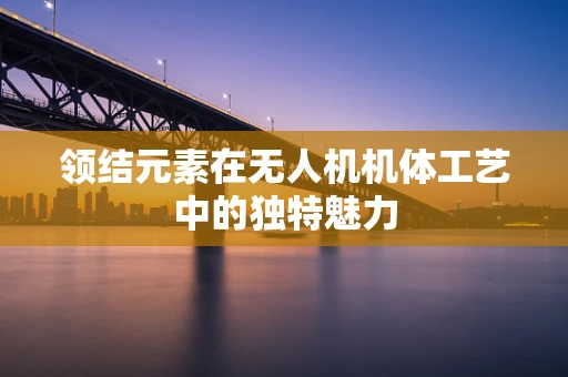领结元素在无人机机体工艺中的独特魅力