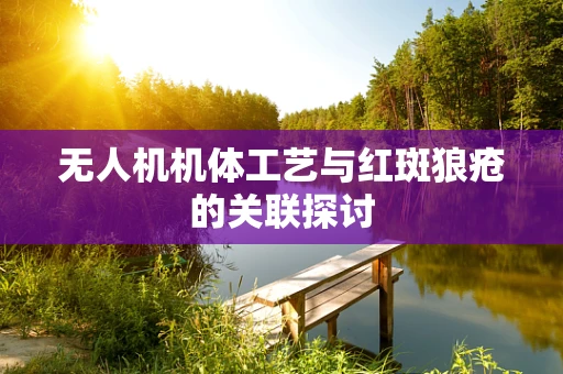 无人机机体工艺与红斑狼疮的关联探讨