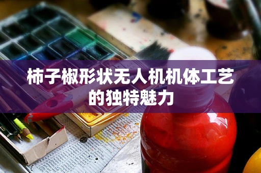 柿子椒形状无人机机体工艺的独特魅力