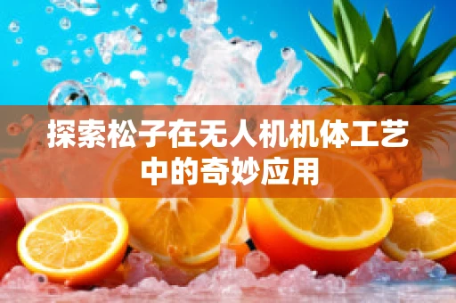 探索松子在无人机机体工艺中的奇妙应用