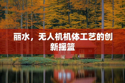 丽水，无人机机体工艺的创新摇篮