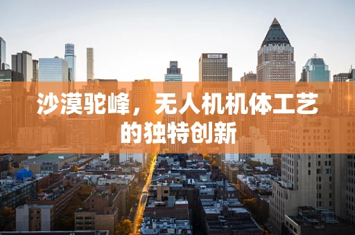 沙漠驼峰，无人机机体工艺的独特创新