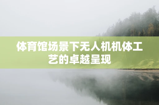 体育馆场景下无人机机体工艺的卓越呈现