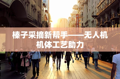 榛子采摘新帮手——无人机机体工艺助力