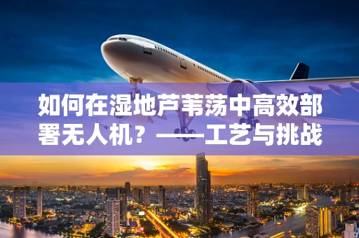 如何在湿地芦苇荡中高效部署无人机？——工艺与挑战并存
