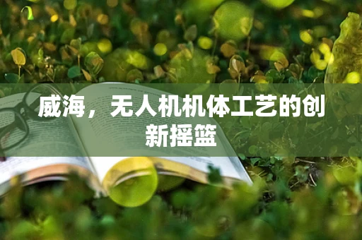 威海，无人机机体工艺的创新摇篮
