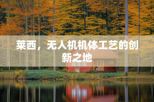 莱西，无人机机体工艺的创新之地