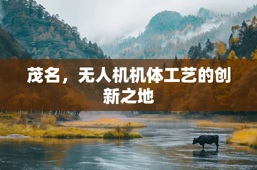 茂名，无人机机体工艺的创新之地