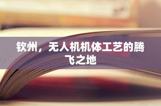 钦州，无人机机体工艺的腾飞之地