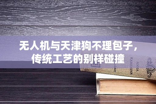 无人机与天津狗不理包子，传统工艺的别样碰撞