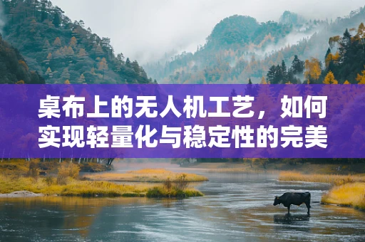 桌布上的无人机工艺，如何实现轻量化与稳定性的完美平衡？