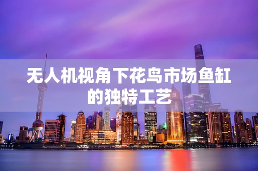 无人机视角下花鸟市场鱼缸的独特工艺