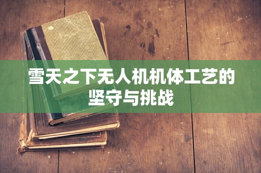 雪天之下无人机机体工艺的坚守与挑战