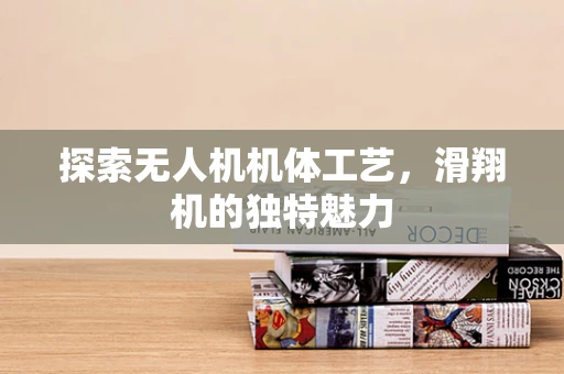 探索无人机机体工艺，滑翔机的独特魅力