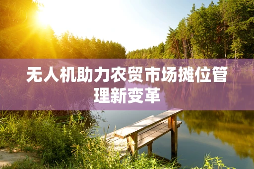 无人机助力农贸市场摊位管理新变革