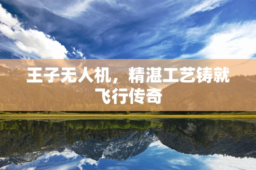 王子无人机，精湛工艺铸就飞行传奇