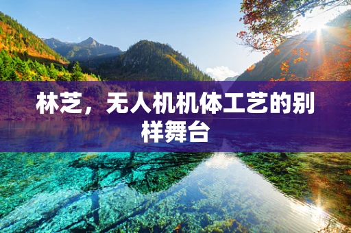 林芝，无人机机体工艺的别样舞台