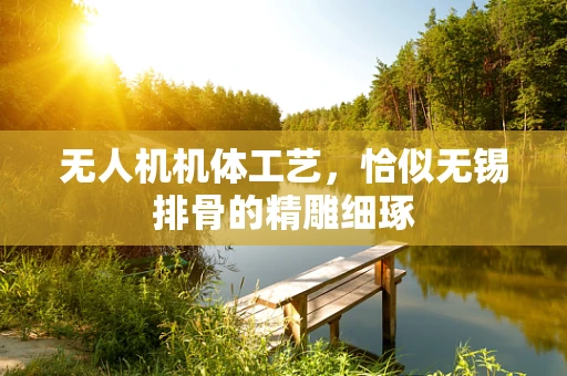 无人机机体工艺，恰似无锡排骨的精雕细琢