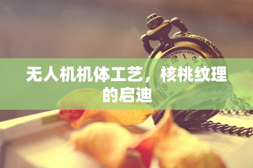 无人机机体工艺，核桃纹理的启迪