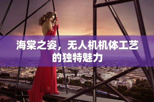 海棠之姿，无人机机体工艺的独特魅力