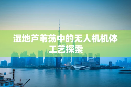 湿地芦苇荡中的无人机机体工艺探索