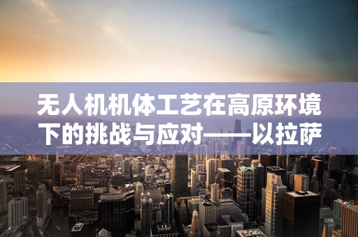 无人机机体工艺在高原环境下的挑战与应对——以拉萨为例