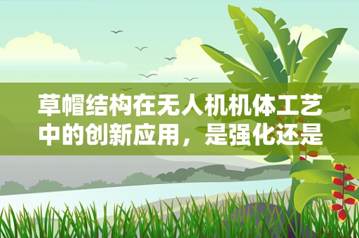 草帽结构在无人机机体工艺中的创新应用，是强化还是累赘？
