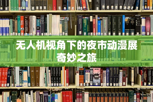 无人机视角下的夜市动漫展奇妙之旅