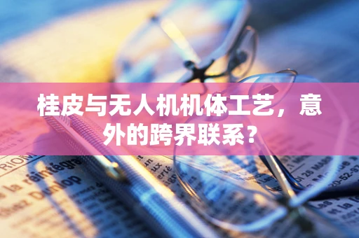 桂皮与无人机机体工艺，意外的跨界联系？