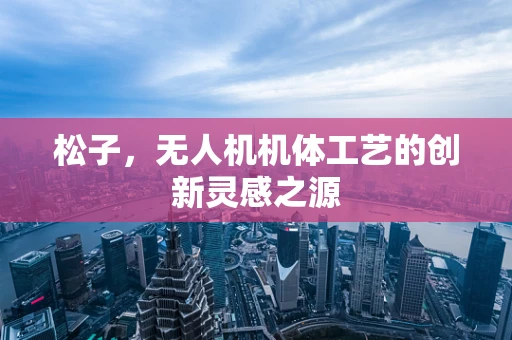 松子，无人机机体工艺的创新灵感之源