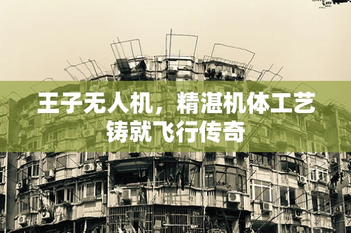 王子无人机，精湛机体工艺铸就飞行传奇