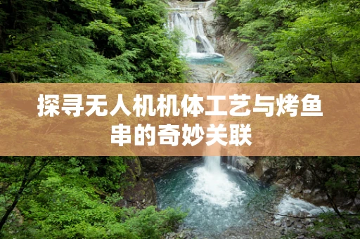 探寻无人机机体工艺与烤鱼串的奇妙关联