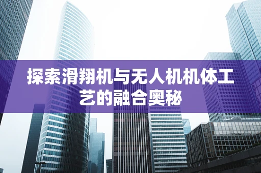 探索滑翔机与无人机机体工艺的融合奥秘