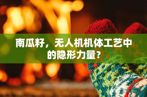 南瓜籽，无人机机体工艺中的隐形力量？