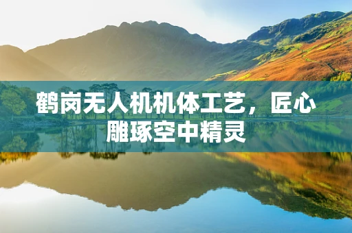 鹤岗无人机机体工艺，匠心雕琢空中精灵
