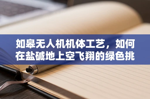 如皋无人机机体工艺，如何在盐碱地上空飞翔的绿色挑战？
