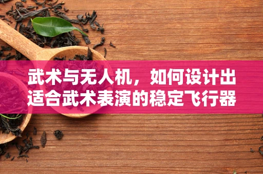 武术与无人机，如何设计出适合武术表演的稳定飞行器？